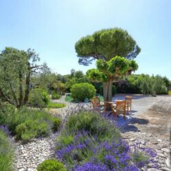 Farmhousr for sale near Suvereto (17)