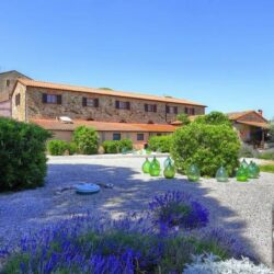 Farmhousr for sale near Suvereto (2)