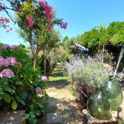 House for sale near Marliana Pistoia Tuscany (17)