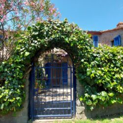 House for sale near Marliana Pistoia Tuscany (41)