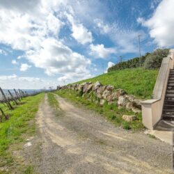 Stunning Winery for sale in Tuscany (13)