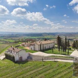 Stunning Winery for sale in Tuscany (23)