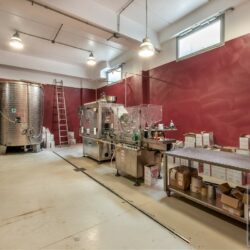 Stunning Winery for sale in Tuscany (40)