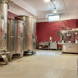 Stunning Winery for sale in Tuscany (41)