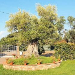 Villa with pool for sale near Altopascio Tuscany (5)