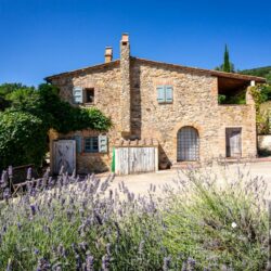 Beautiful Tuscan Farmhouse for sale near Pisa and the sea Tuscany (3)