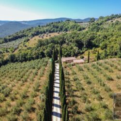 Beautiful Tuscan Farmhouse for sale near Pisa and the sea Tuscany (69)