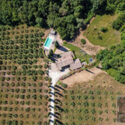 Beautiful Tuscan Farmhouse for sale near Pisa and the sea Tuscany (70)