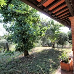 House with pool and annex for sale near Santa Maria a Monte Pisa (15)