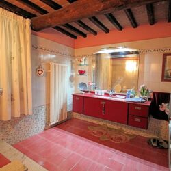 House with pool and annex for sale near Santa Maria a Monte Pisa (39)