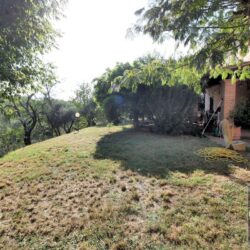 House with pool and annex for sale near Santa Maria a Monte Pisa (7)