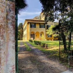 Stunning Historic Villa for sale near Fauglia Pisa Tuscany (5)